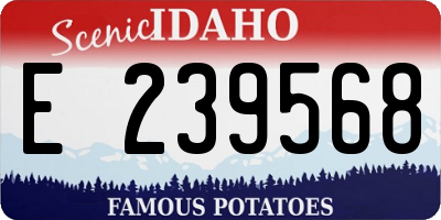 ID license plate E239568