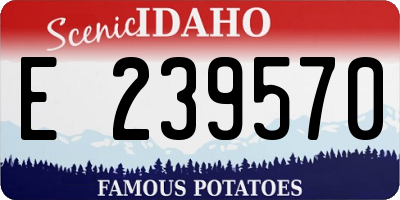 ID license plate E239570