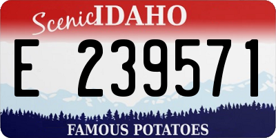 ID license plate E239571