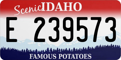 ID license plate E239573