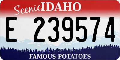 ID license plate E239574