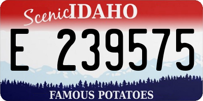 ID license plate E239575