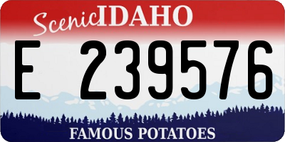 ID license plate E239576