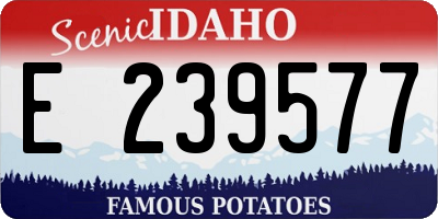 ID license plate E239577