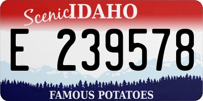 ID license plate E239578
