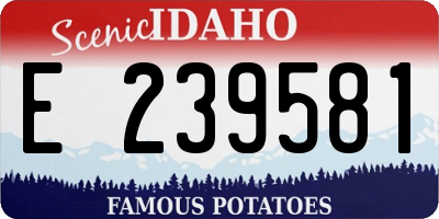 ID license plate E239581