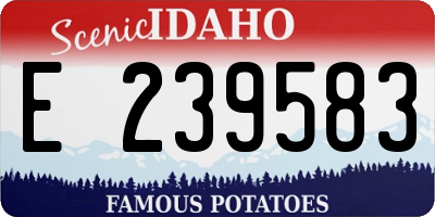 ID license plate E239583