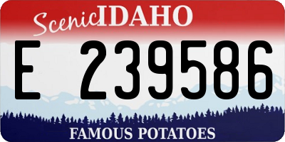 ID license plate E239586