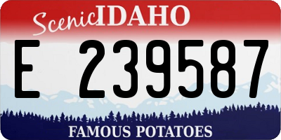 ID license plate E239587