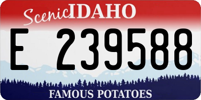 ID license plate E239588