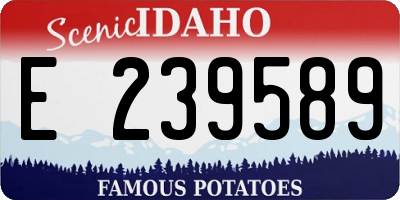 ID license plate E239589