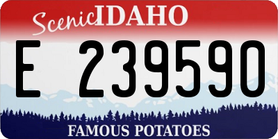 ID license plate E239590
