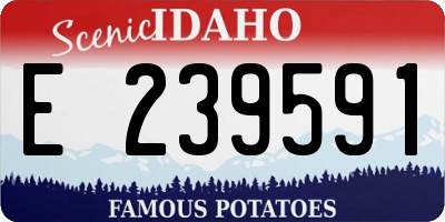 ID license plate E239591