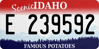 ID license plate E239592