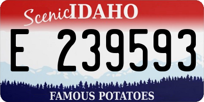 ID license plate E239593