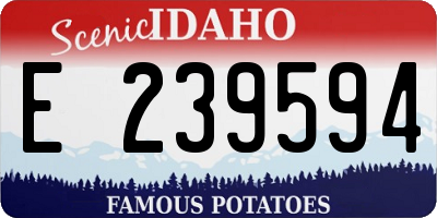 ID license plate E239594