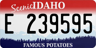 ID license plate E239595