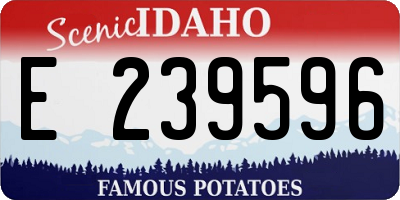 ID license plate E239596