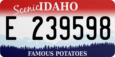 ID license plate E239598
