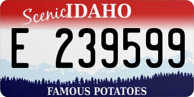 ID license plate E239599