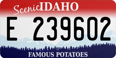 ID license plate E239602
