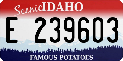 ID license plate E239603