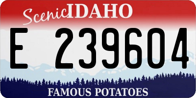 ID license plate E239604