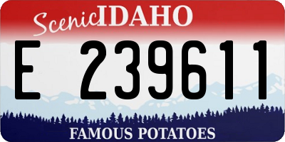 ID license plate E239611