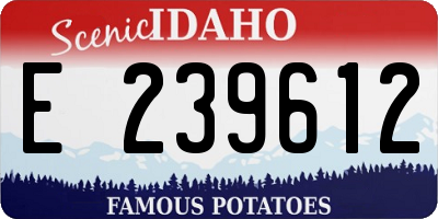 ID license plate E239612