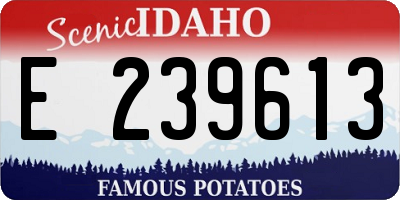 ID license plate E239613