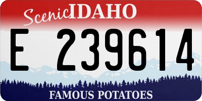 ID license plate E239614