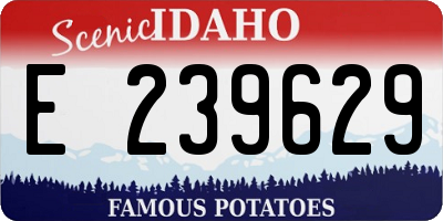 ID license plate E239629