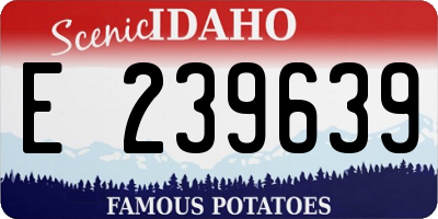 ID license plate E239639