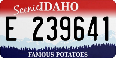 ID license plate E239641