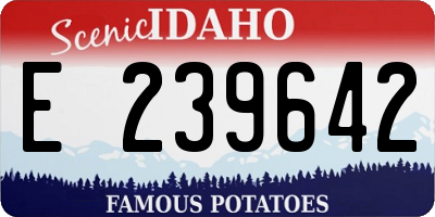 ID license plate E239642
