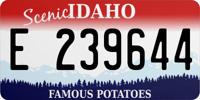 ID license plate E239644
