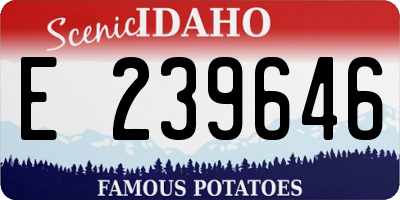 ID license plate E239646