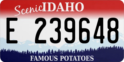 ID license plate E239648
