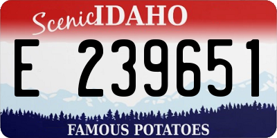 ID license plate E239651