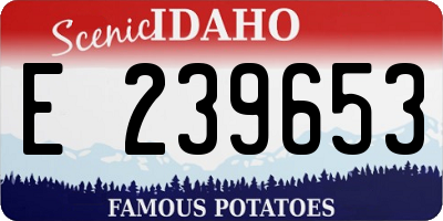 ID license plate E239653