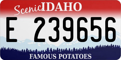 ID license plate E239656