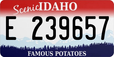 ID license plate E239657