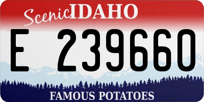 ID license plate E239660