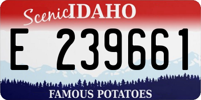 ID license plate E239661