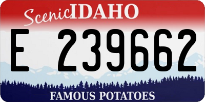 ID license plate E239662