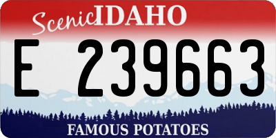 ID license plate E239663
