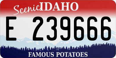 ID license plate E239666