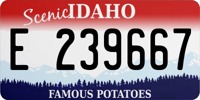 ID license plate E239667