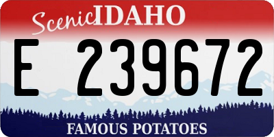ID license plate E239672