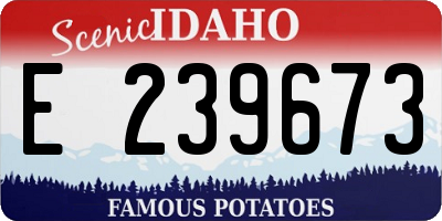 ID license plate E239673